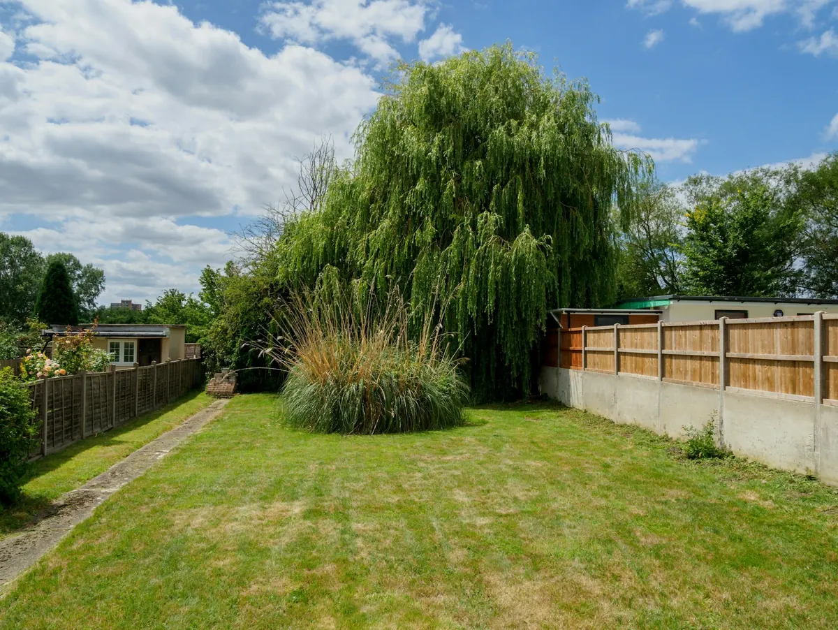 Before: a plain back garden of mown grass with a willow, a timber fence and a concrete post wall on the right.