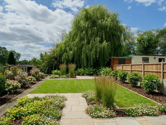 AI generated low maintenance redesign of the same view: a plain back garden of mown grass with a willow, a timber fence and a concrete post wall on the right, replanted.