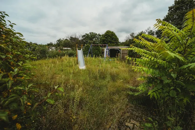 Before: a neglected yard of tall uncut grass and weeds with a child slide and trees behind.